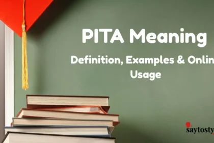 Pita Meaning
