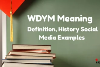 Wdym Meaning