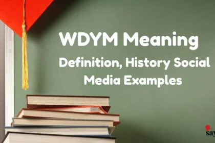 Wdym Meaning
