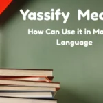 Yassify Meaning