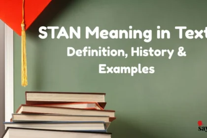 Stan Meaning In Text