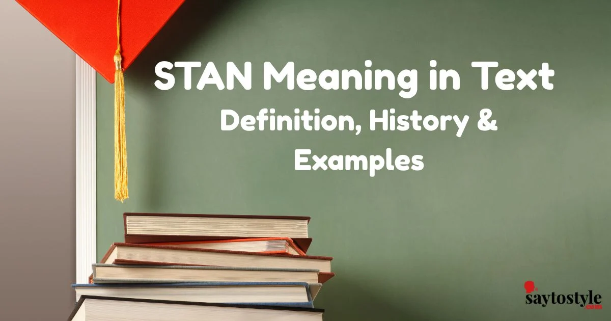 Stan Meaning In Text